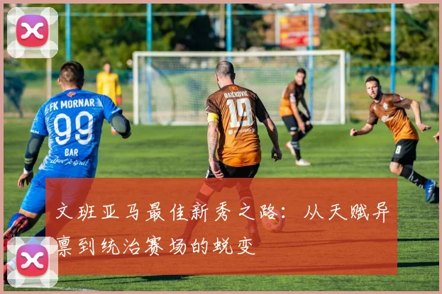 文班亚马最佳新秀之路：从天赋异禀到统治赛场的蜕变