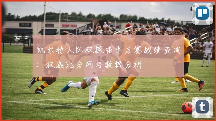 凯尔特人队双探花季后赛战绩查询：权威比分网与数据分析