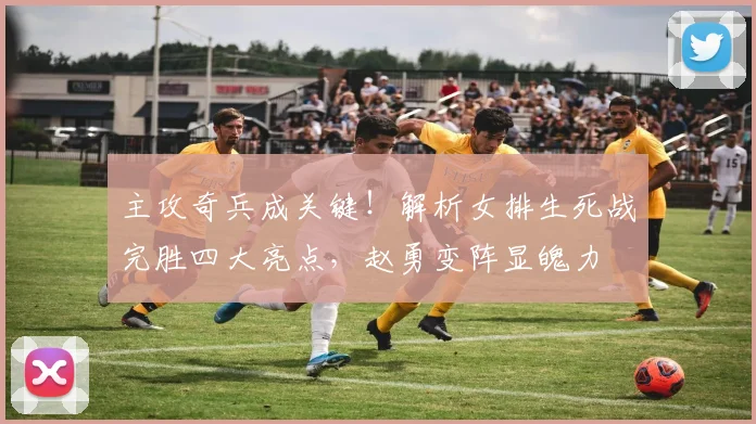 主攻奇兵成关键！解析女排生死战完胜四大亮点，赵勇变阵显魄力